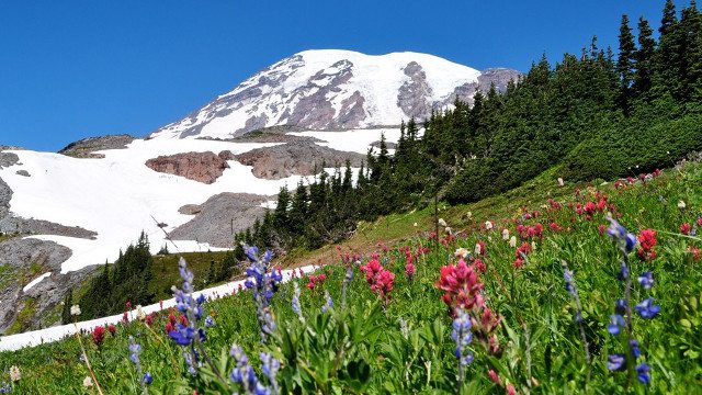 pacific northwest places to visit Mt Rainier