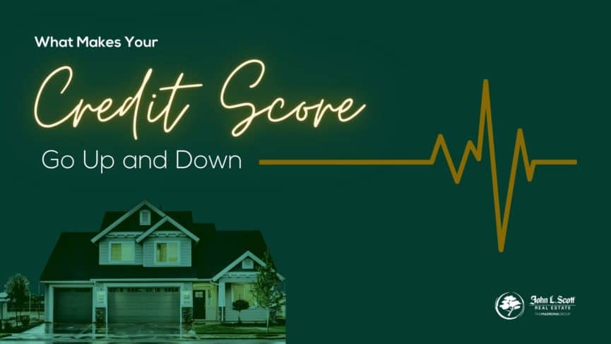 What makes your credit score go up and down