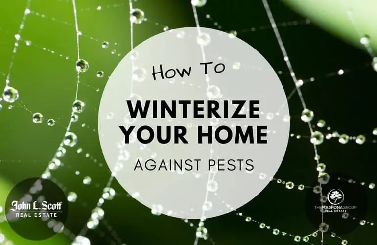 How to winterize your home against pests in the puget sound area
