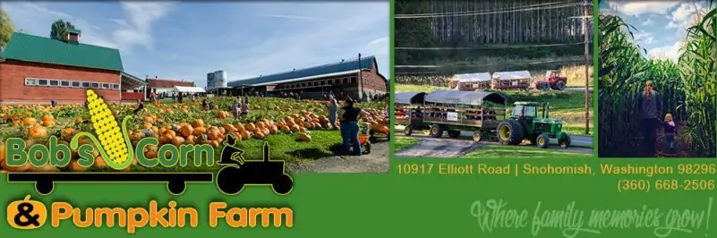 bobs corn maze and snohomish County pumpkin patch
