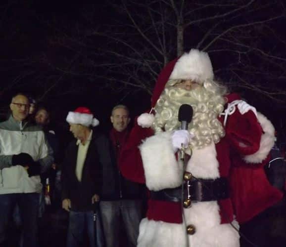 Mountlake terrace tree lighting