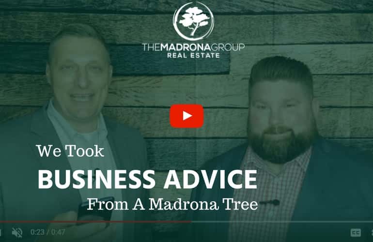 We took business advice from a tree