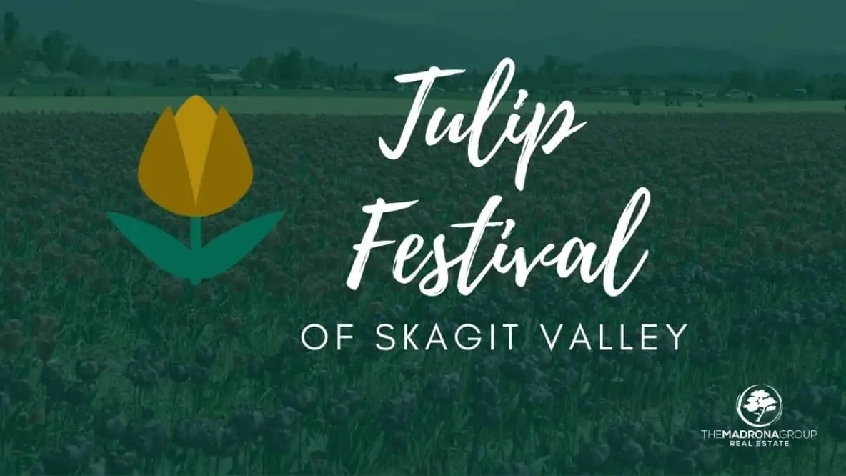The Tulip Festival of Skagit Valley