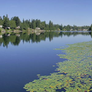 martha lake lynnwood WA