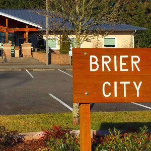 Brier WA