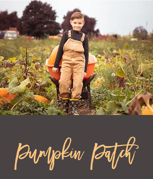 List of Snohomish County Pumpkin Patch & Haunted House 2023